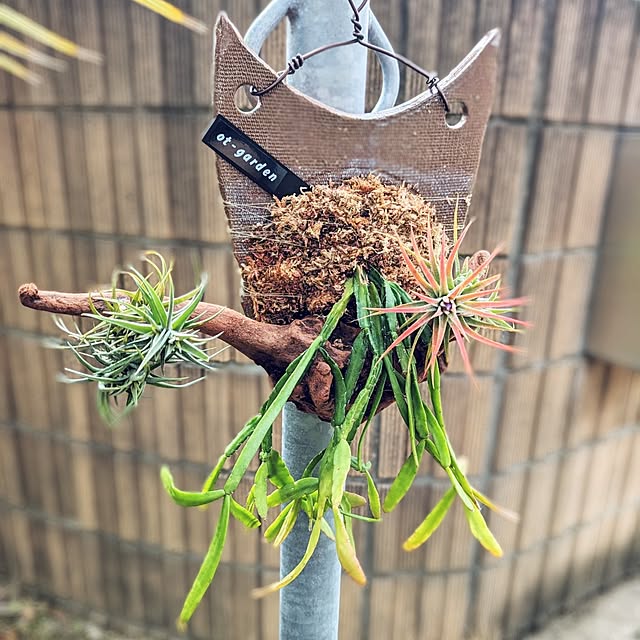 ot-gardenさんの実例写真