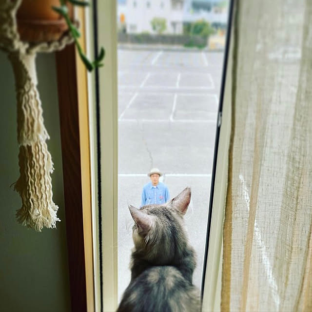 rarryさんの実例写真
