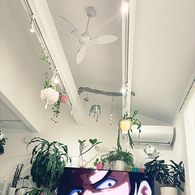 hameda0909さんの実例写真