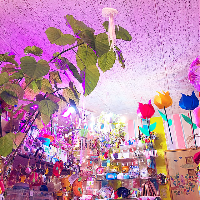 pochi3461さんの実例写真