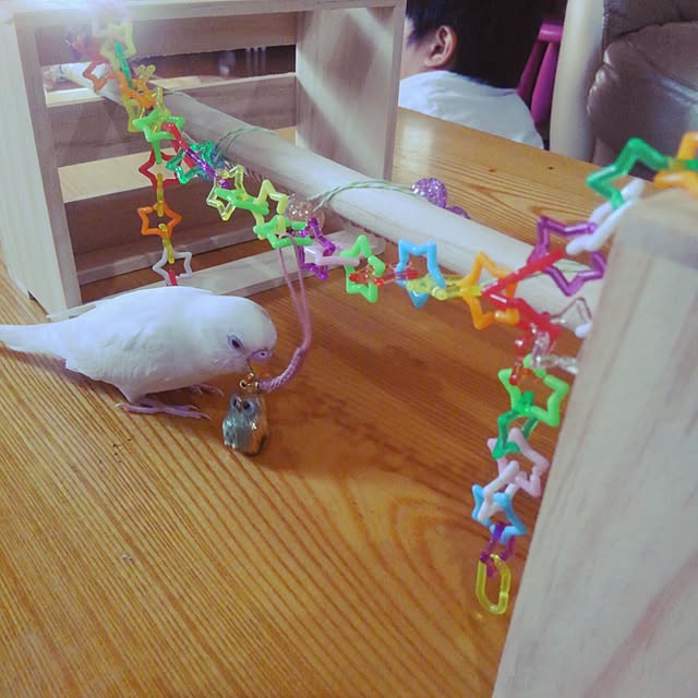 10nco.syuiさんの実例写真