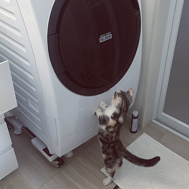 mikkumikuさんの実例写真