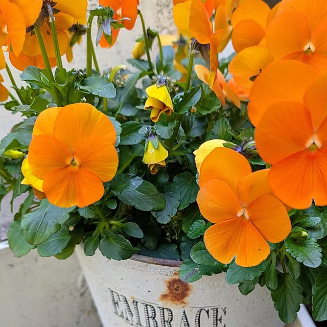 santamaruさんの部屋