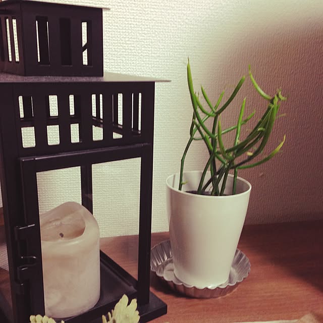 Ayaさんの実例写真