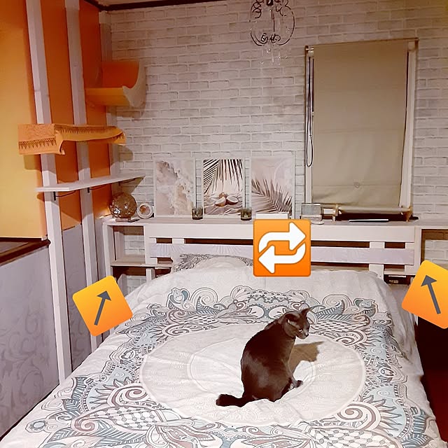 meguさんの部屋