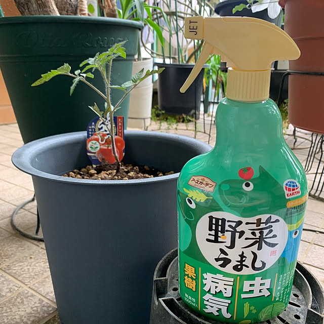 Aqettyさんの部屋
