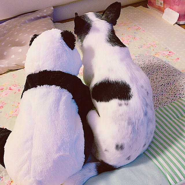 hiroさんの実例写真