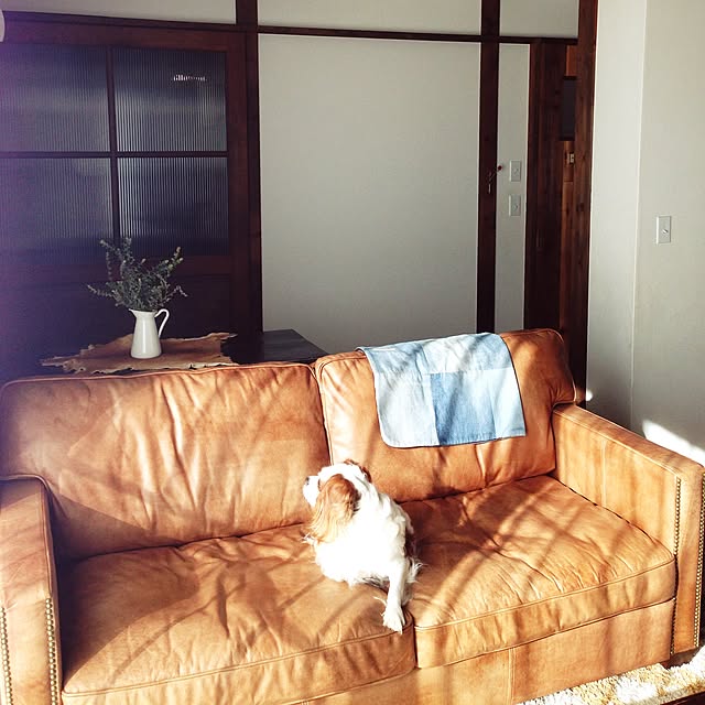sonoさんの実例写真