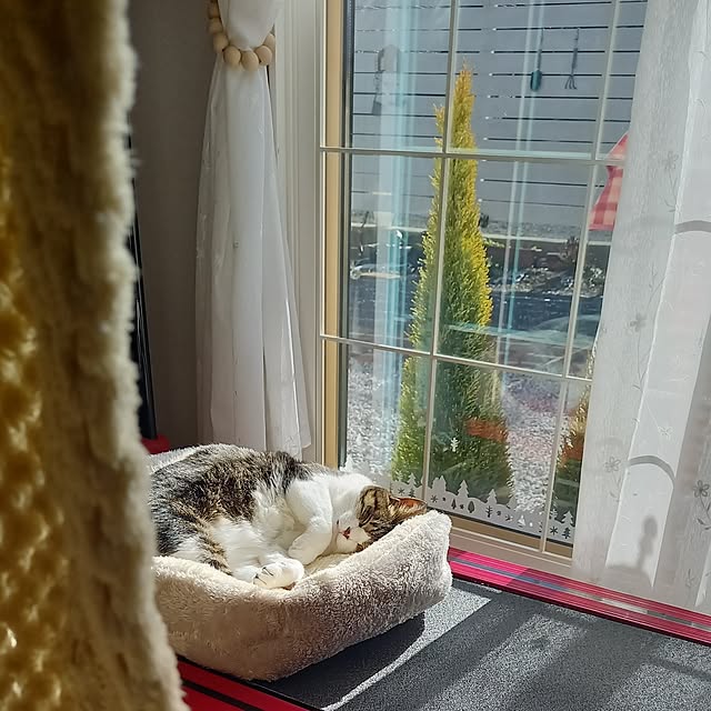 civicglさんの実例写真
