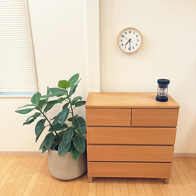 nao525さんの実例写真