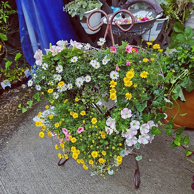 mocomocoさんの部屋