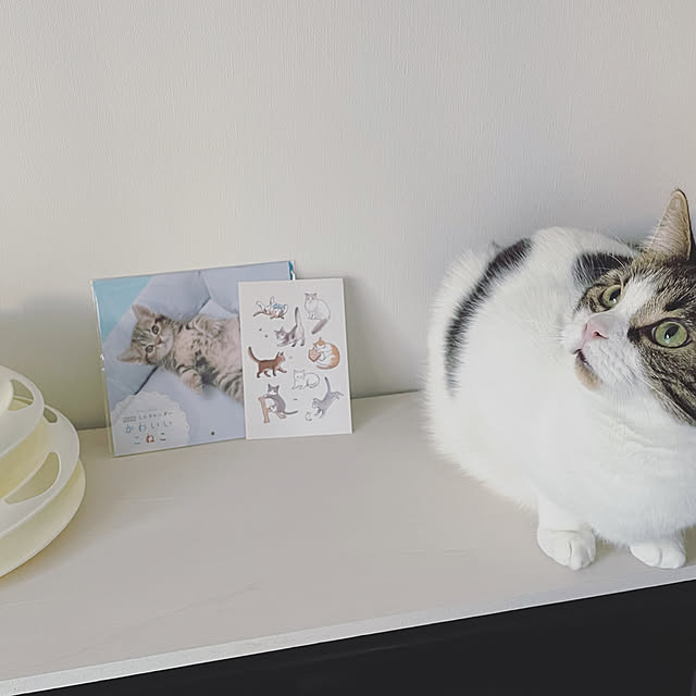 hemukoさんの実例写真