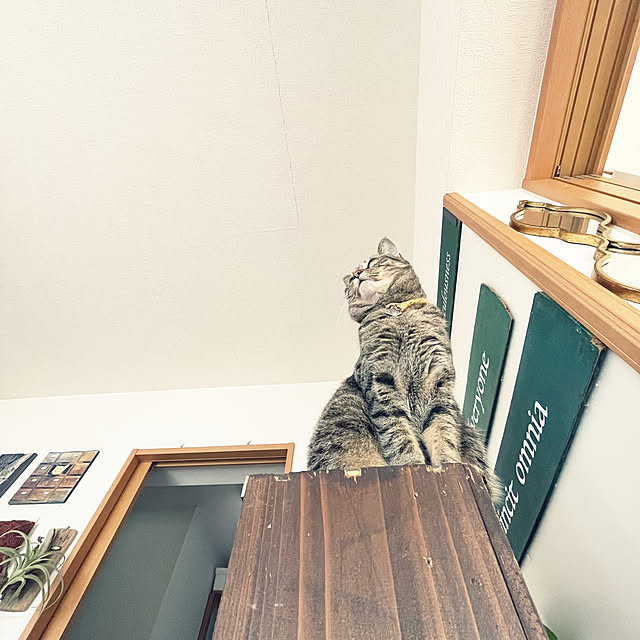 Mさんの部屋