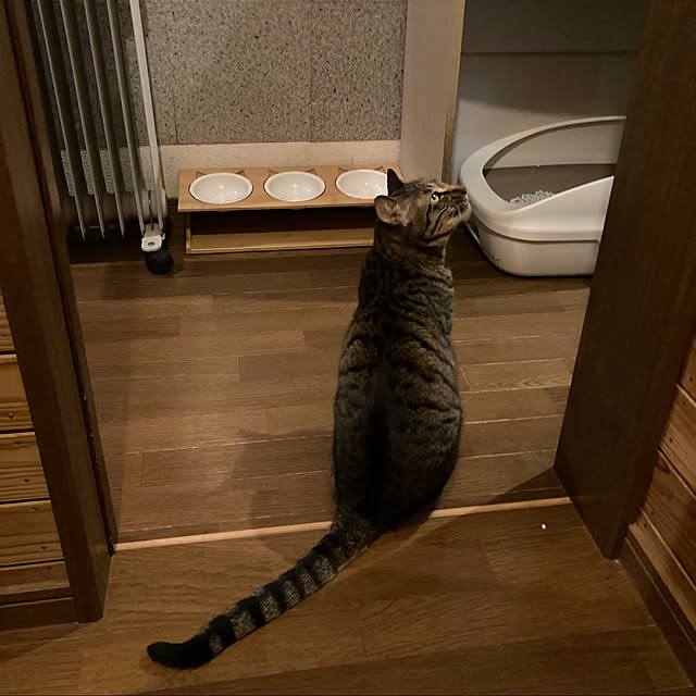 miseiさんの実例写真