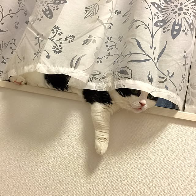 neuruさんの実例写真