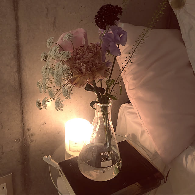 ホワイトインテリア/プロジェクター/グリーンのある暮らし/シアタールーム/SOSTRENE GRENES...などのインテリア実例 - 2019-02-28 02:10:13