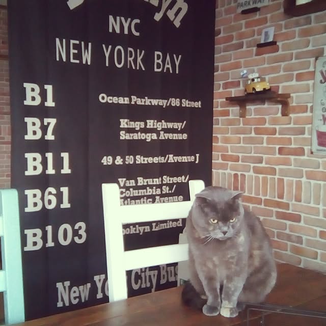 daiさんの実例写真