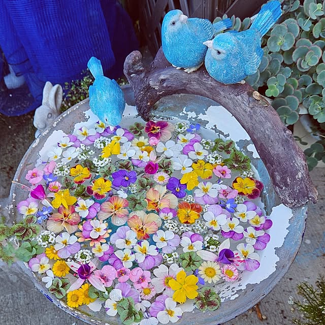 mocomocoさんの実例写真