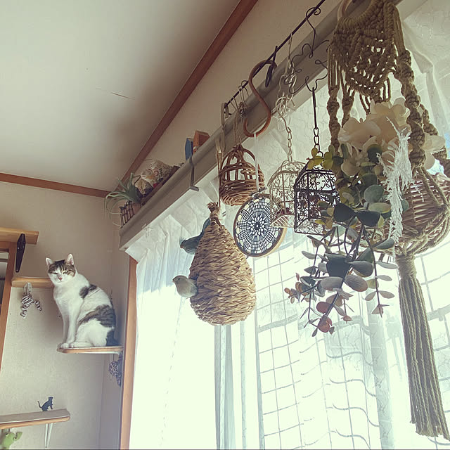 Lufuさんの実例写真