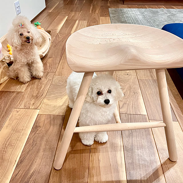 fuafuaさんの実例写真