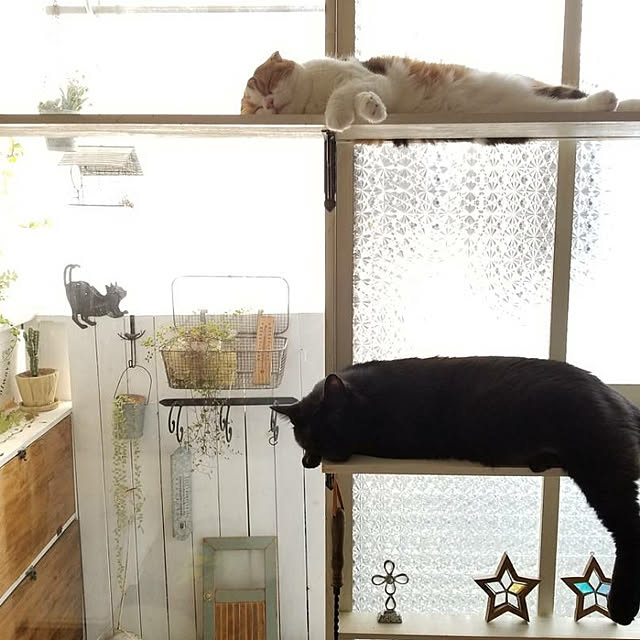 mikiさんの実例写真