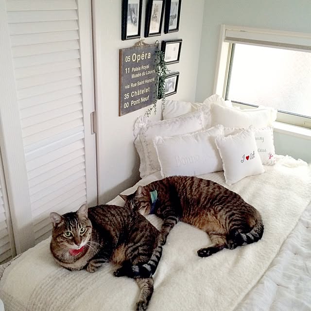lovecatさんの実例写真