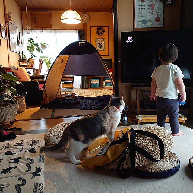 fukuさんの実例写真