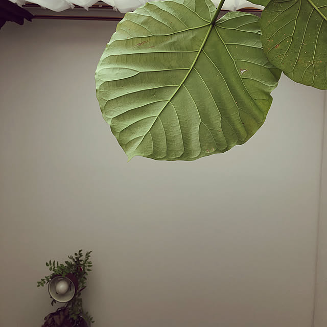 jabo_222さんの実例写真