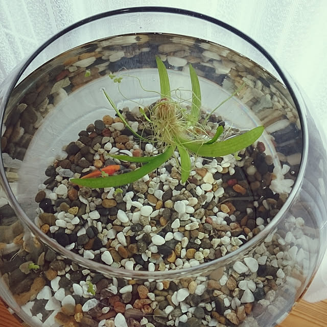monblanさんの実例写真