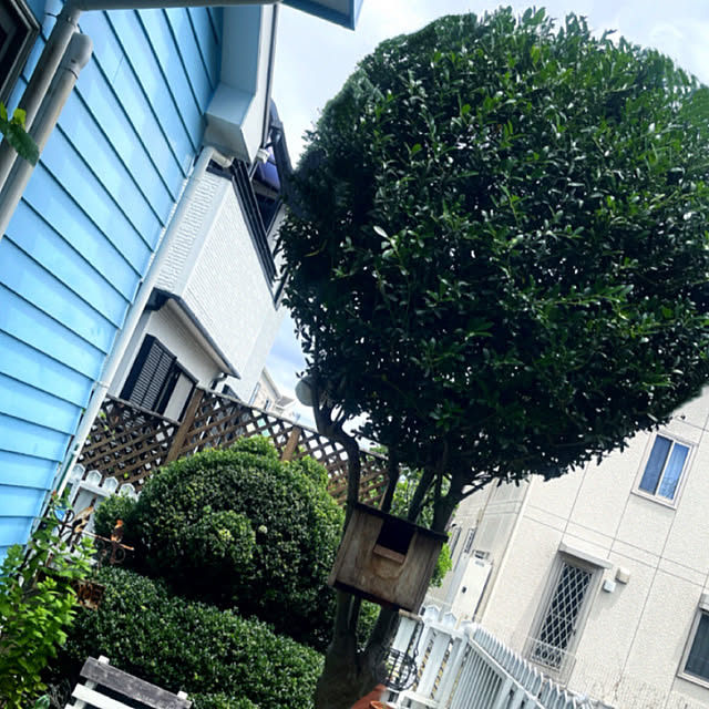 Ohigeさんの実例写真