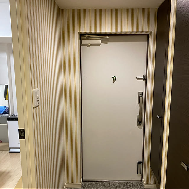 普通のマンション/DIYしたい/マンション/壁紙DIY/DIY...などのインテリア実例 - 2022-04-27 22:58:19