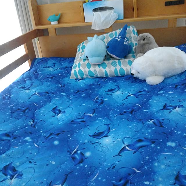 kyukyuさんの実例写真
