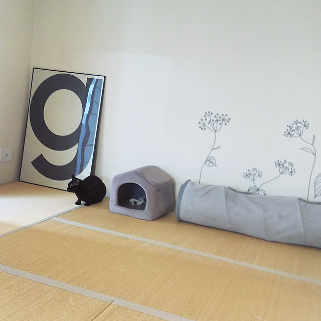 toroankoさんの実例写真