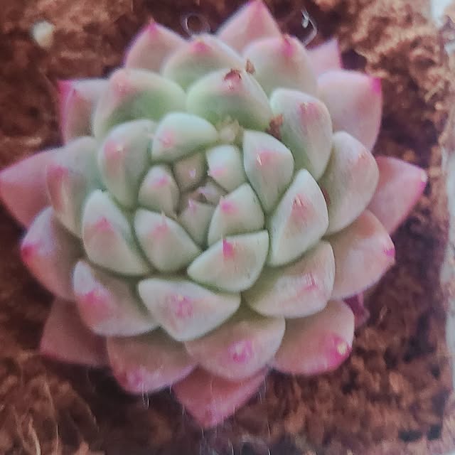 monnさんの部屋