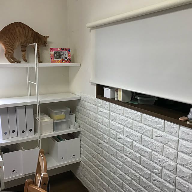 koroさんの実例写真