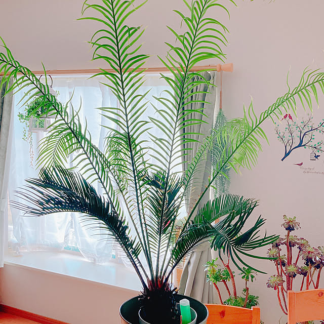 Hanakaさんの部屋