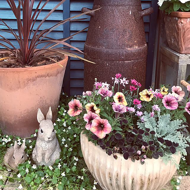 mikiさんの実例写真