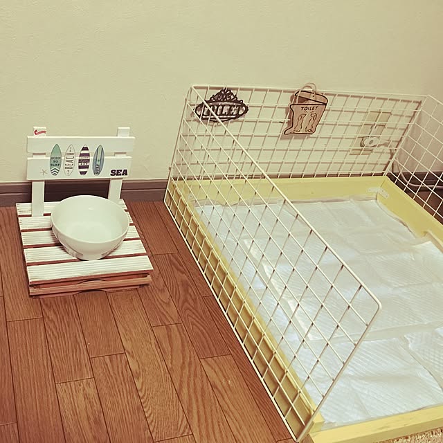 部屋全体/ペットとの暮らしのインテリア実例 - 2016-10-16 20:03:11