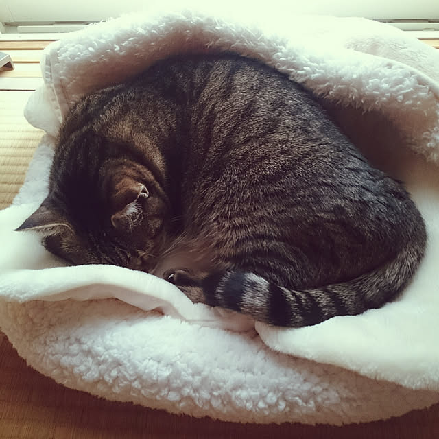 lilyさんの実例写真