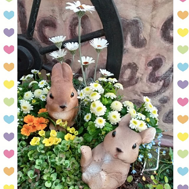 mocomocoさんの実例写真