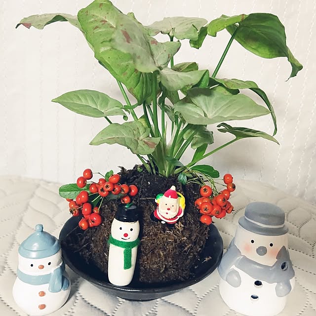 katさんの部屋