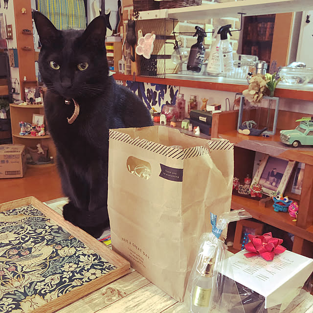 jijiさんの実例写真