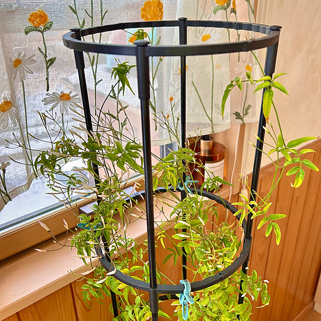 juncocoさんの部屋