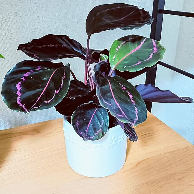 hanachanさんの部屋