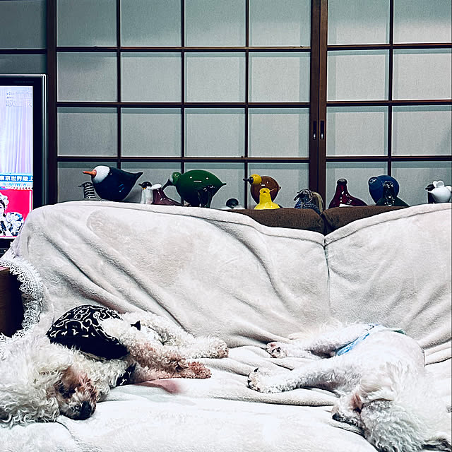 chacoさんの実例写真