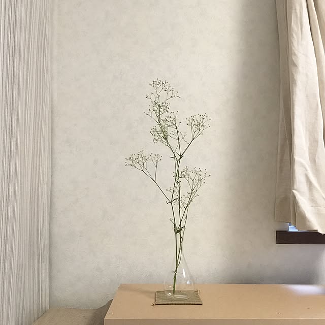 ht6030さんの実例写真