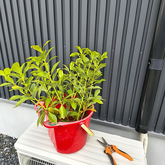 Rubiconさんの部屋