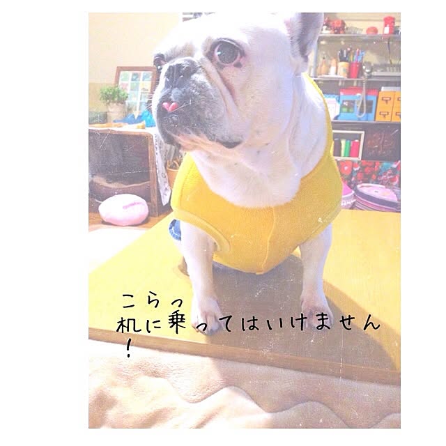 38coreさんの実例写真