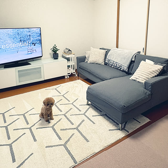 kawauso15さんの部屋