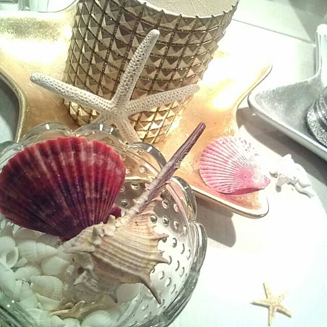 Sukeさんの実例写真